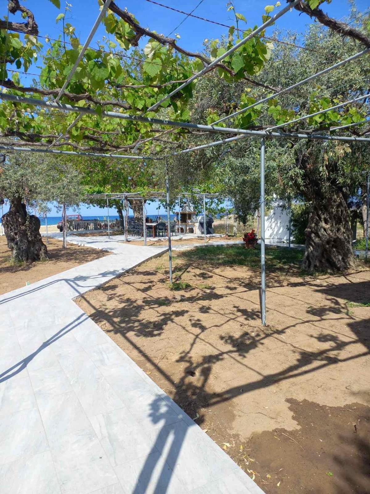 Opalium Beach Front Suites Potos Exterior photo